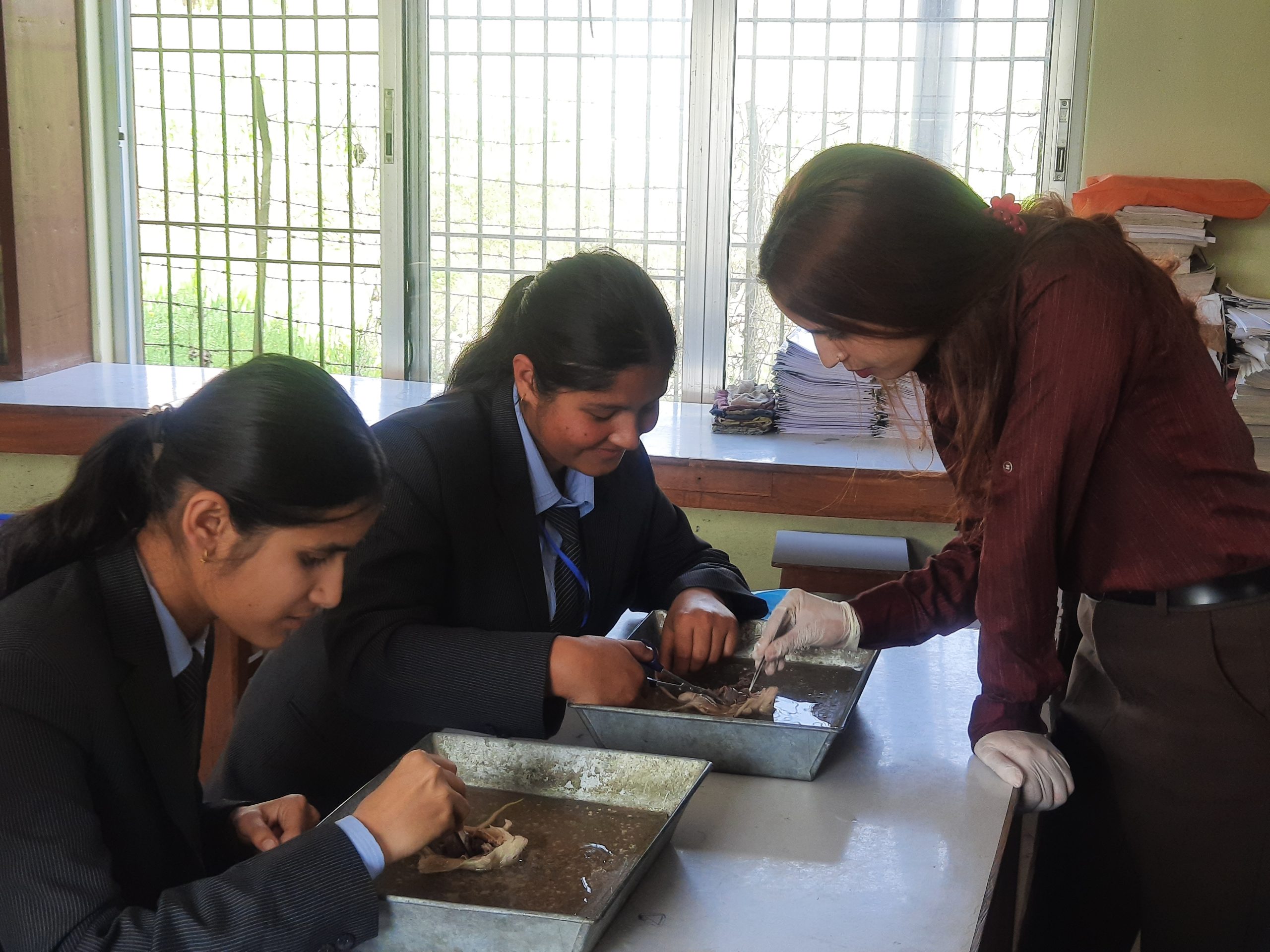 Teacher teaching student how to do disection of mouse