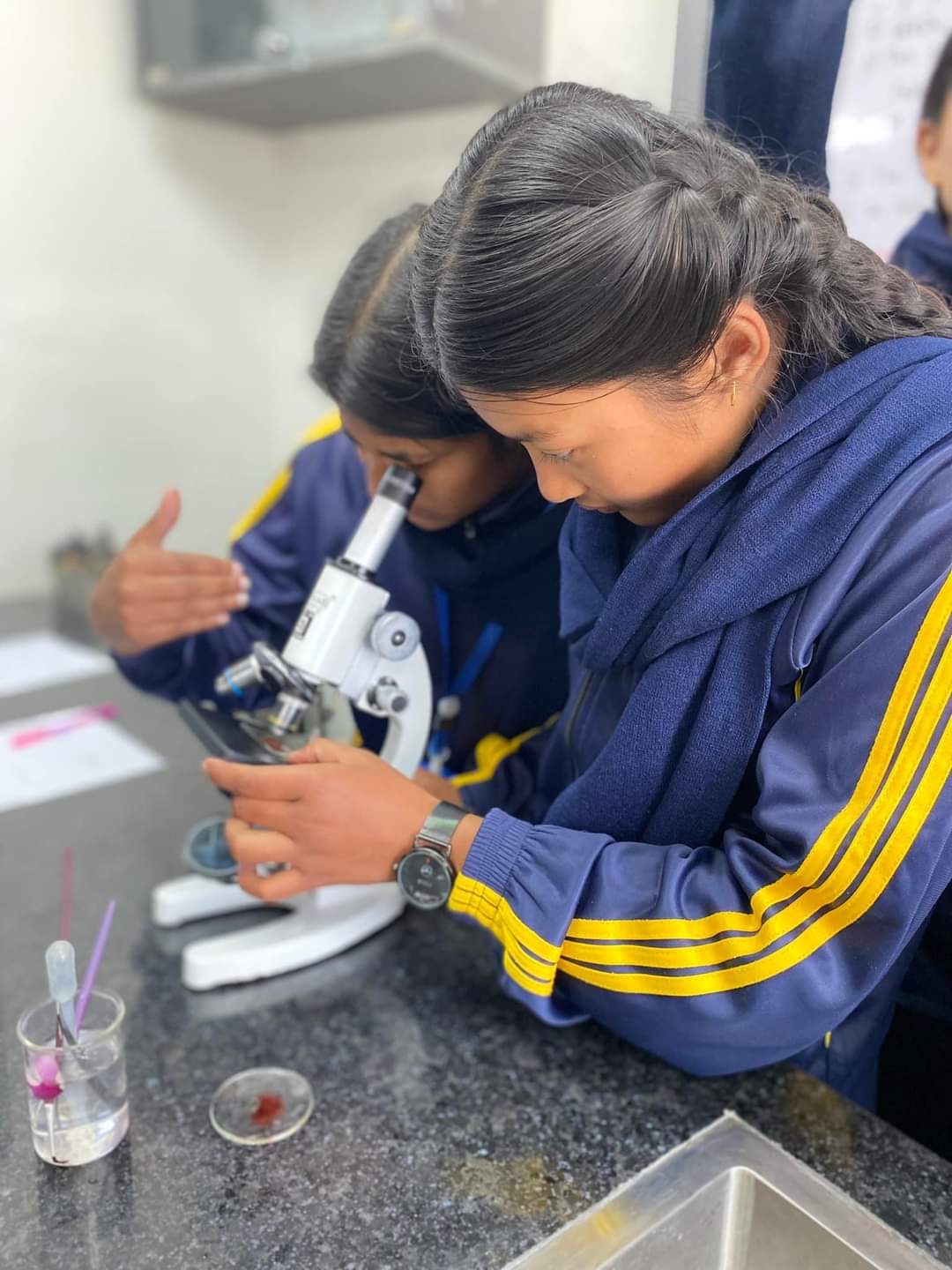 Student using microscope